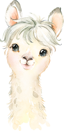 (s313-1-1D) Baby Llama