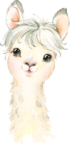 (s313-1-1D) Baby Llama