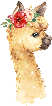 (s313-1-1E-31) Baby Llama Flowers