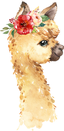 (s313-1-1E-31) Baby Llama Flowers