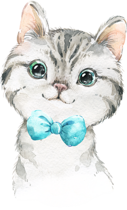 (s313-1-2E-13) Baby Cat Kitten Turquoise Bowtie