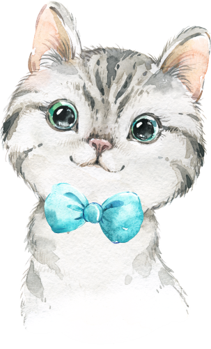 (s313-1-2E-13) Baby Cat Kitten Turquoise Bowtie