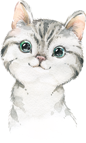 (s313-1-2E) Baby Cat Kitten