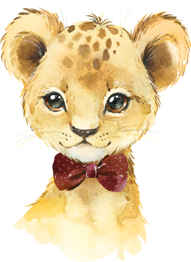 (s313-1-3E-11) Baby Lion Maroon Bowtie