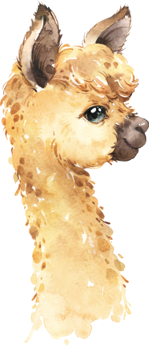 (s313-1-1E) Baby Llama
