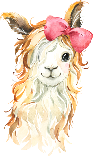 (s313-1-1F-15) Baby Llama Red Bow
