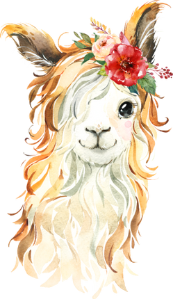 (s313-1-1F-31) Baby Llama Flowers