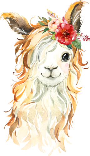 (s313-1-1F-31) Baby Llama Flowers