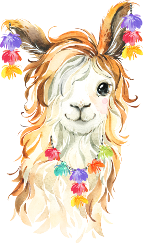 (s313-1-1F-59) Baby Llama Pom Poms