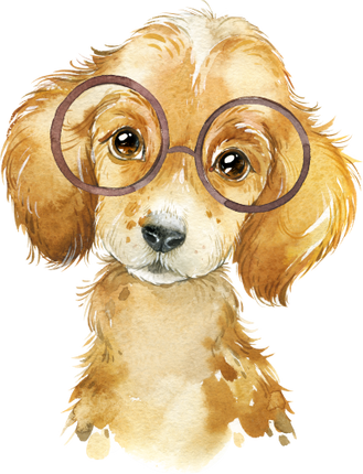 (s313-1-2F-22) Baby Golden Retriever Puppy Dog Glasses