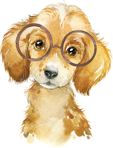 (s313-1-2F-22) Baby Golden Retriever Puppy Dog Glasses