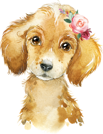 (s313-1-2F-44) Baby Golden Retriever Puppy Dog Flowers