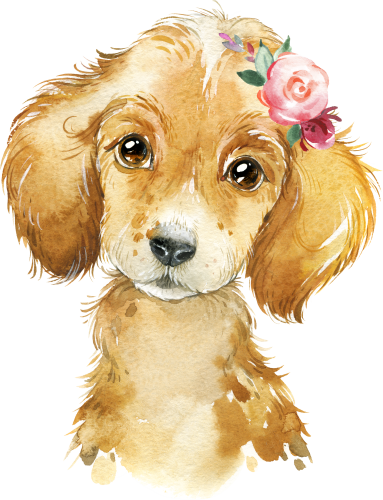 (s313-1-2F-44) Baby Golden Retriever Puppy Dog Flowers