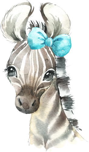 (s313-1-3F-13) Baby Zebra Turquoise Bow