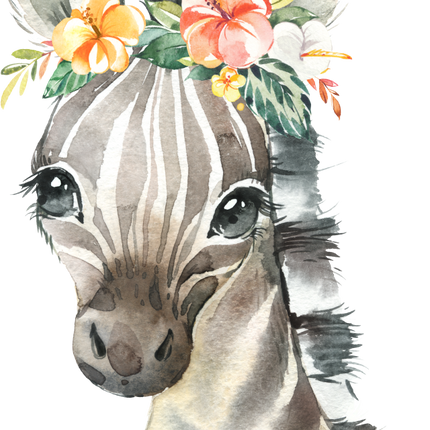 (s313-1-3F-42_4) Baby Zebra Flowers