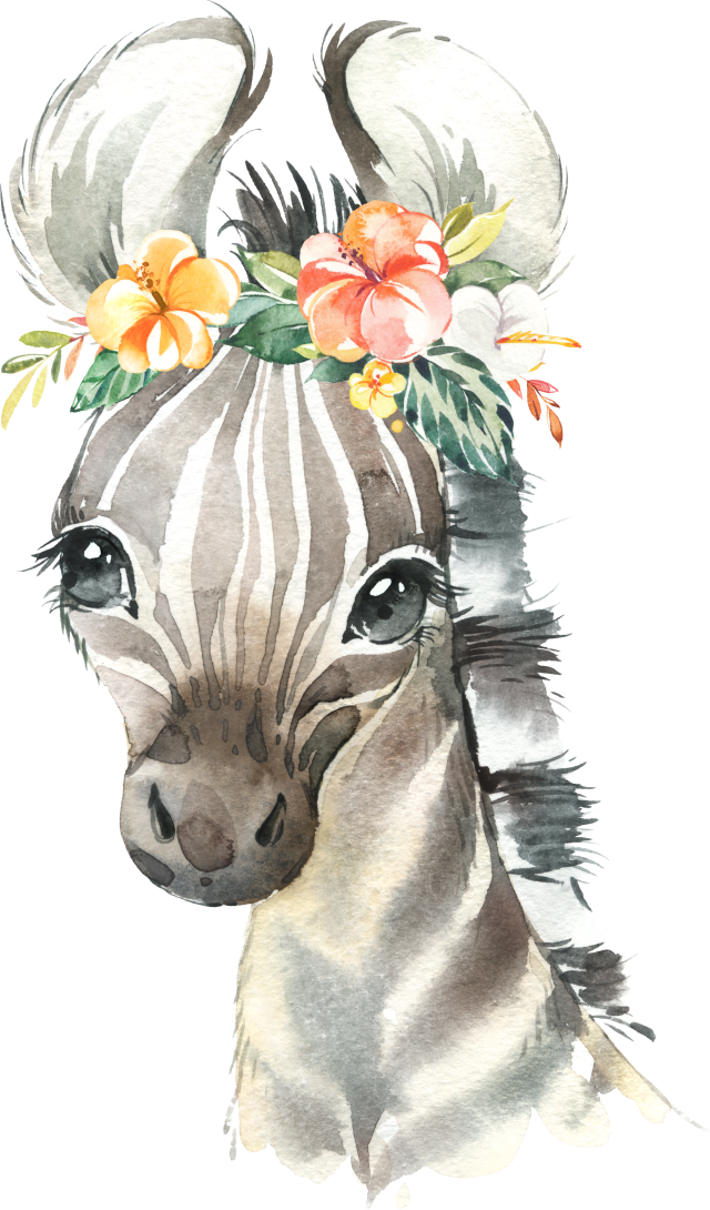 (s313-1-3F-42_4) Baby Zebra Flowers