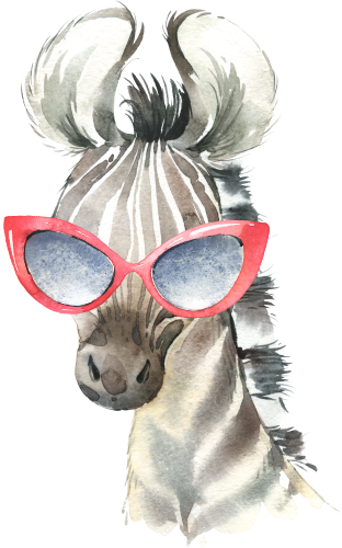 (s313-1-3F-5) Baby Zebra Sunglasses