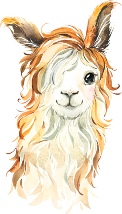 (s313-1-1F) Baby Llama