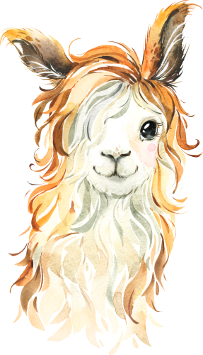 (s313-1-1F) Baby Llama