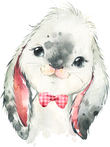 (s313-1-1G-18) Baby Lop Rabbit Bowtie