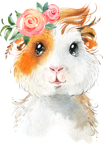 (s313-1-2G-44) Baby Guinea Pig Flowers