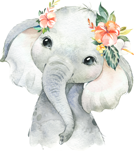 (s313-1-3G-41_4) Baby Elephant  Flowers