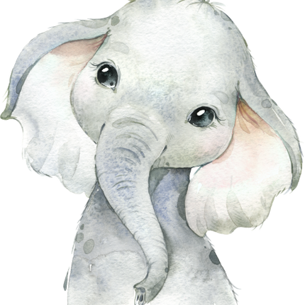(s313-1-3G) Baby Elephant