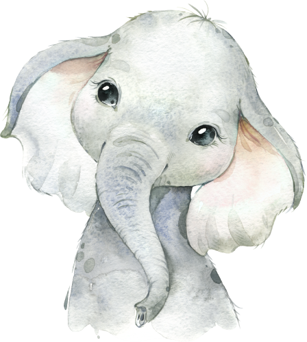 (s313-1-3G) Baby Elephant