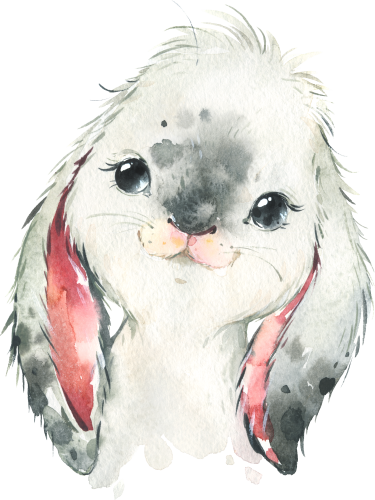 (s313-1-1G) Baby Lop Rabbit