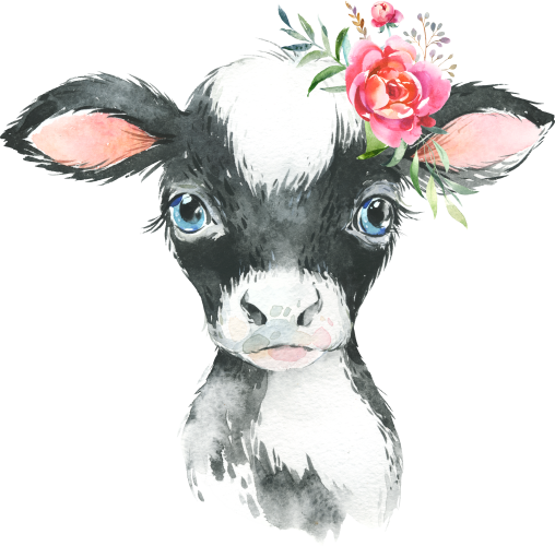 (s313-1-1H-32) Baby Cow Flowers