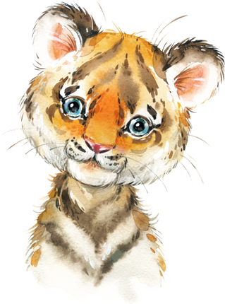 (s313-1-2H) Baby Tiger
