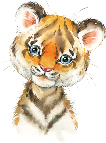 (s313-1-2H) Baby Tiger