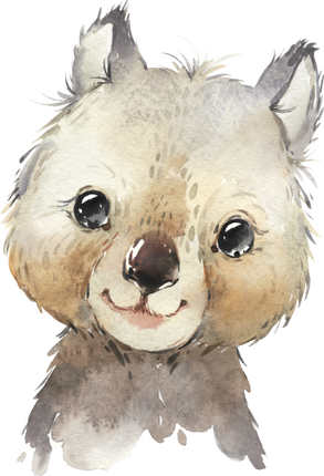 (s313-1-3H) Baby Wombat