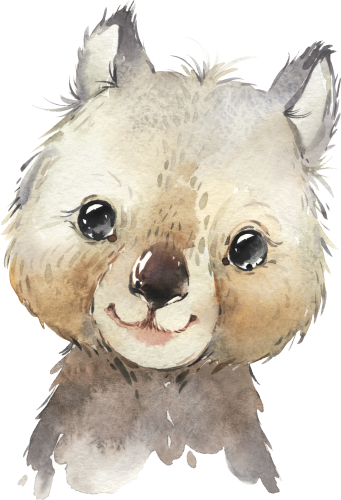 (s313-1-3H) Baby Wombat