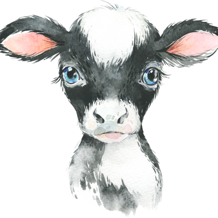 (s313-1-1H) Baby Cow