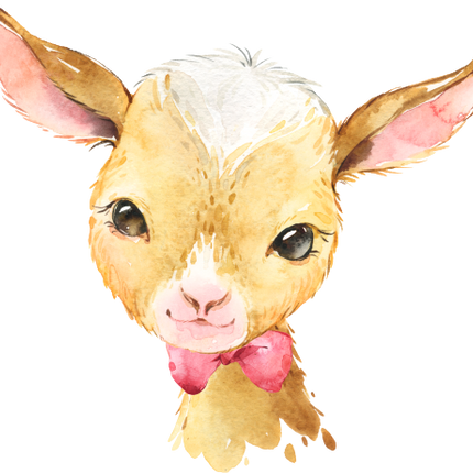 (s313-1-1I-15) Baby Goat Red Bowtie