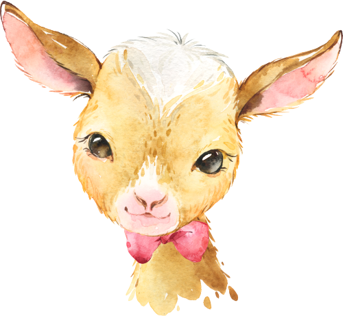 (s313-1-1I-15) Baby Goat Red Bowtie