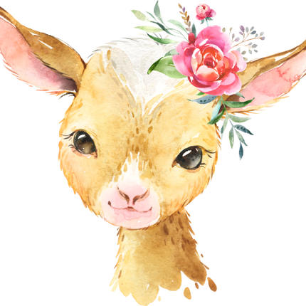 (s313-1-1I-32) Baby Goat Flowers