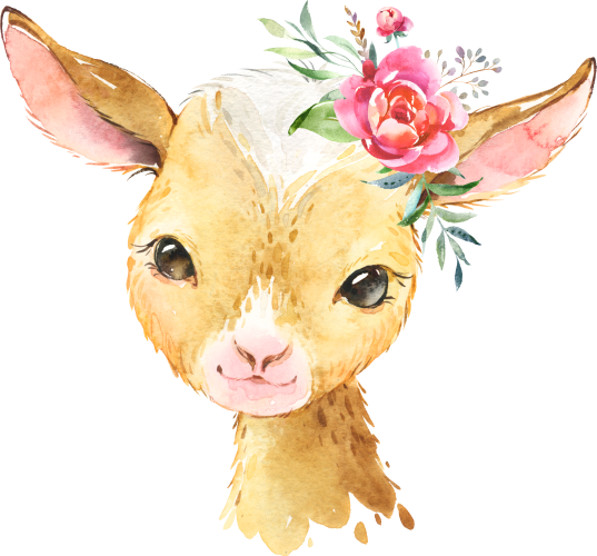 (s313-1-1I-32) Baby Goat Flowers