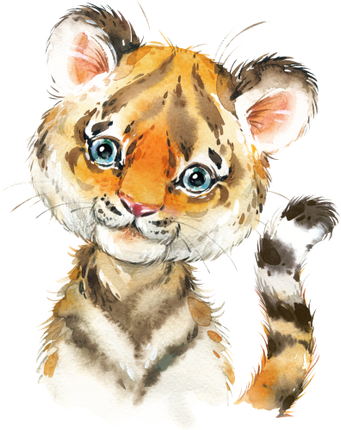 (s313-1-2I) Baby Tiger
