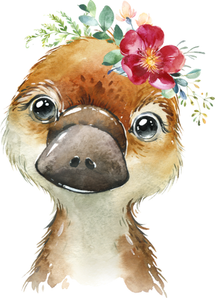 (s313-1-3I-39) Baby Platypus Flowers