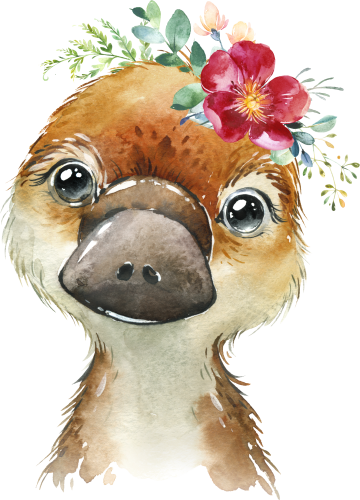 (s313-1-3I-39) Baby Platypus Flowers