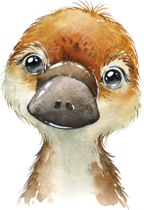 (s313-1-3I) Baby Platypus