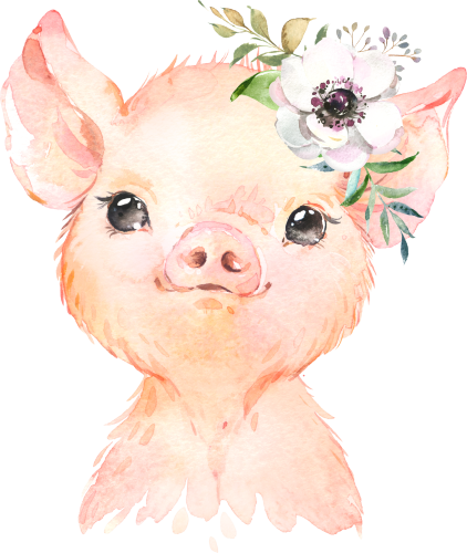 (s313-1-1J-33) Baby Pig Flowers