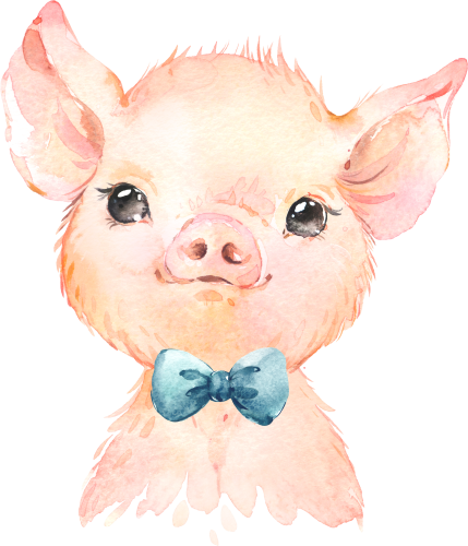 (s313-1-1J-9) Baby Pig Teal Bowtie