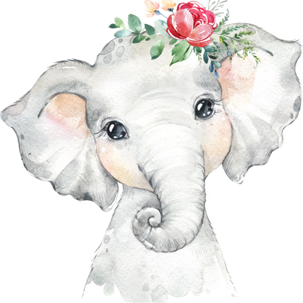 (s313-1-2J-51) Baby Elephant  Flowers