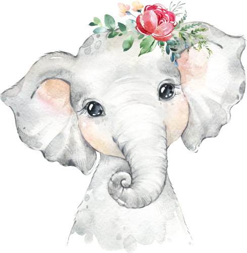 (s313-1-2J-51) Baby Elephant  Flowers