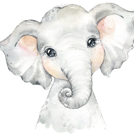 (s313-1-2J) Baby Elephant