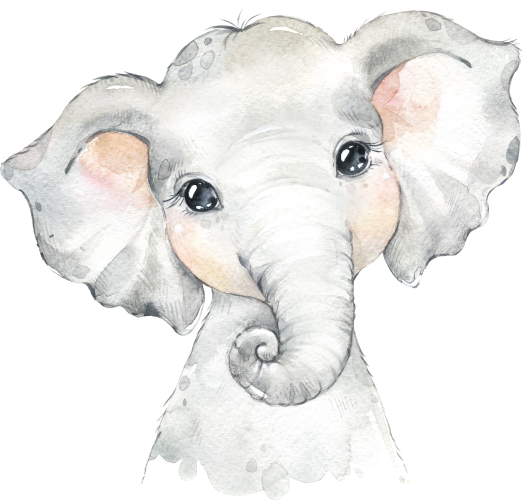 (s313-1-2J) Baby Elephant