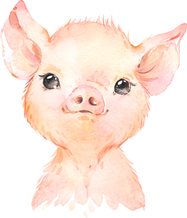 (s313-1-1J) Baby Pig